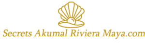 secrets akumal riviera maya excursions